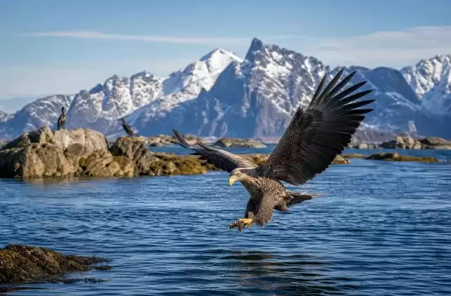 Svolvær
