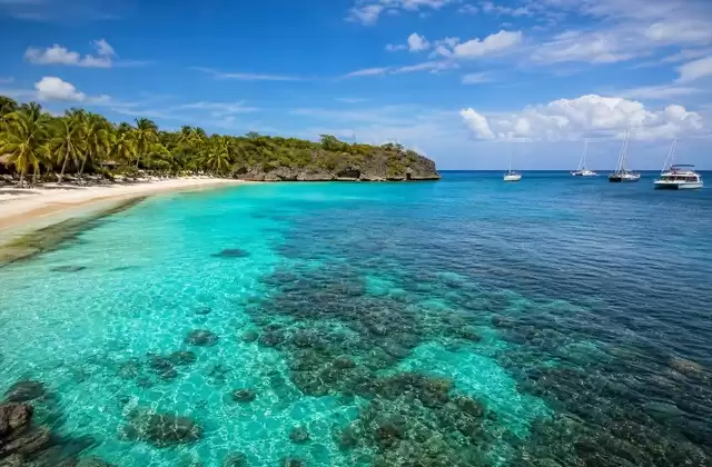 Isla Catalina