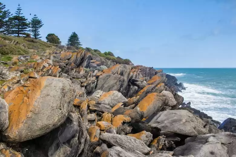 Isla del Canguro